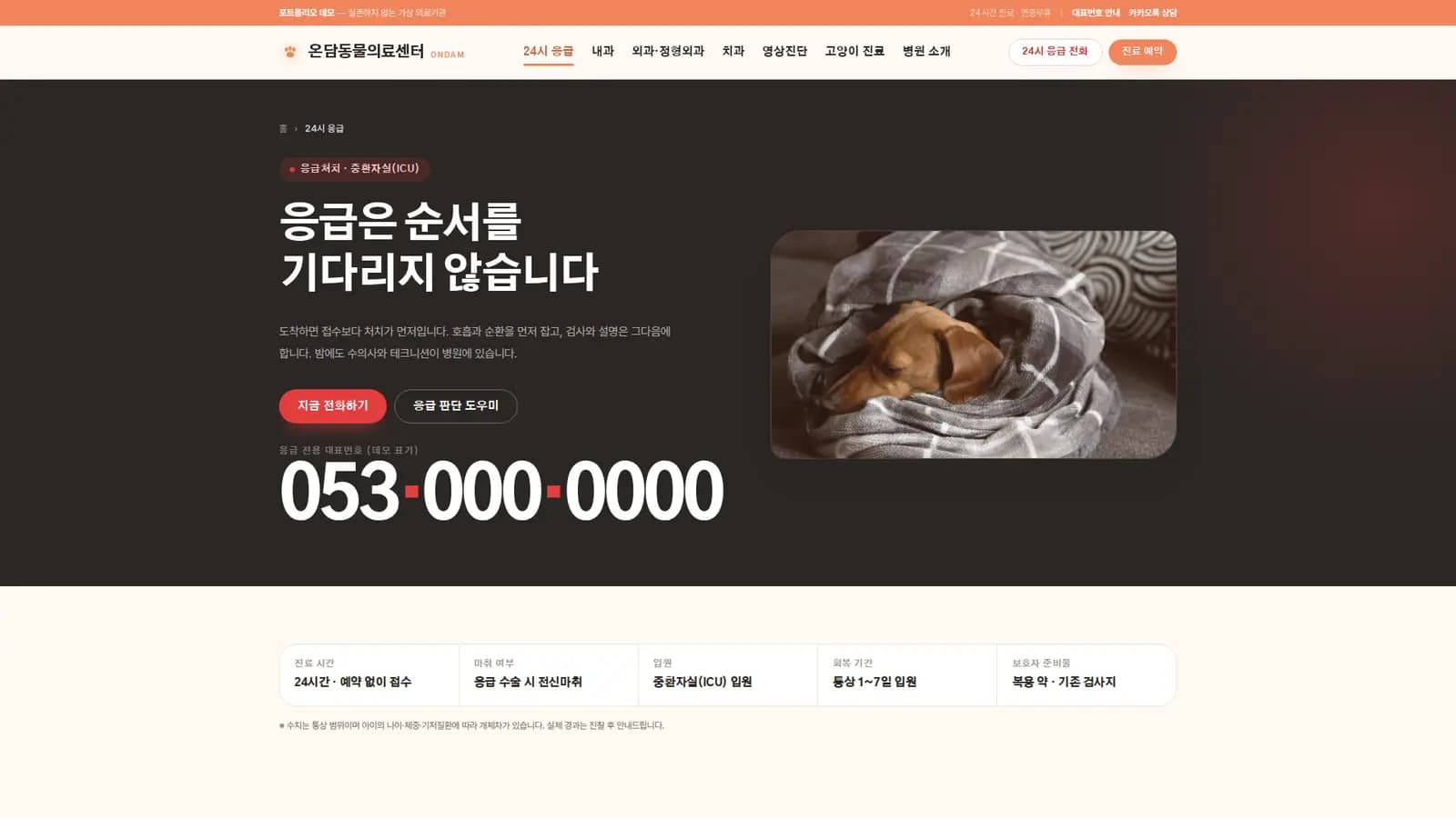 고양이 진료 — 개와 분리된 동선